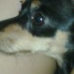 viendo tv